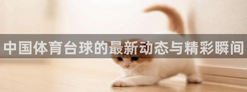 中国体育台球的最新动态与精彩瞬间