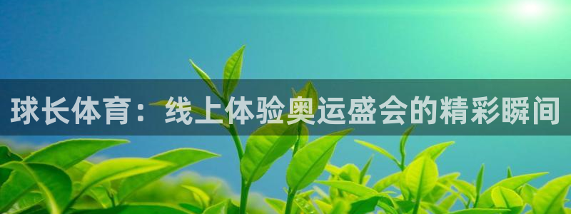 球长体育：线上体验奥运盛会的精彩瞬间