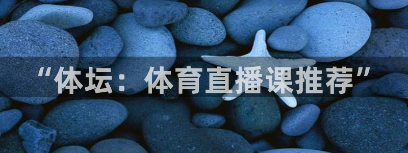 “体坛：体育直播课推荐”