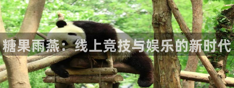 糖果雨燕：线上竞技与娱乐的新时代