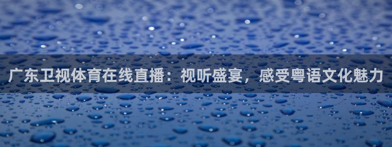 广东卫视体育在线直播：视听盛宴，感受粤语文化魅力