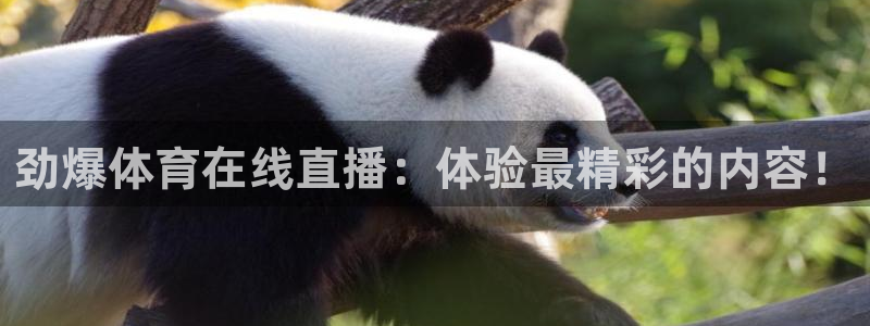 劲爆体育在线直播：体验最精彩的内容！